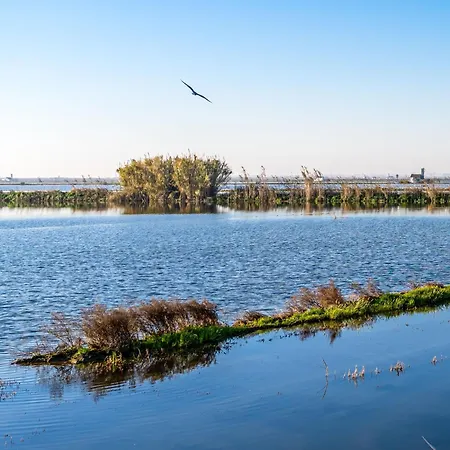Apartment Sunset *